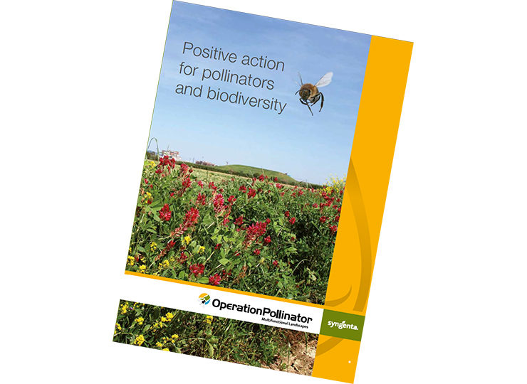 Positive action for pollinators