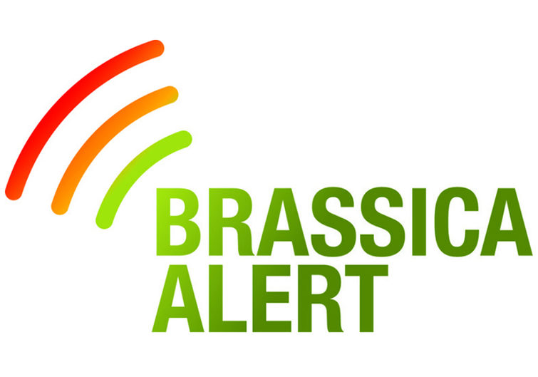 Brassica Alert logo for CTA