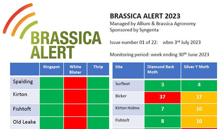 Brassica Alert report 2023