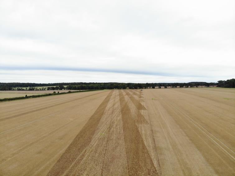 Image of a dry field