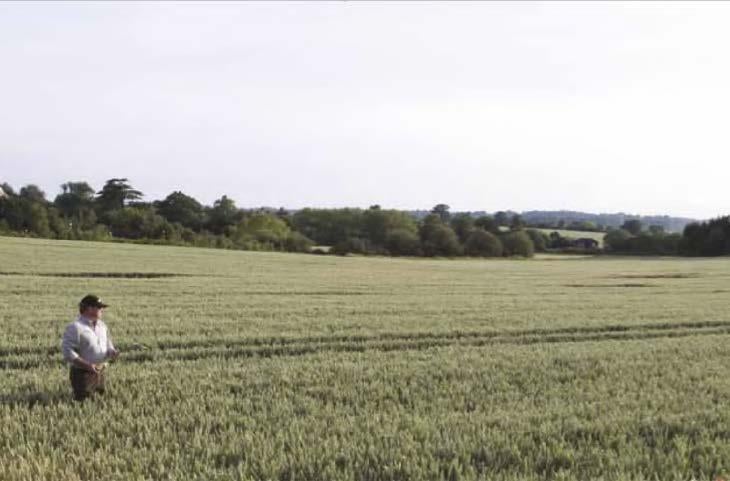 syngenta_uk_package_1