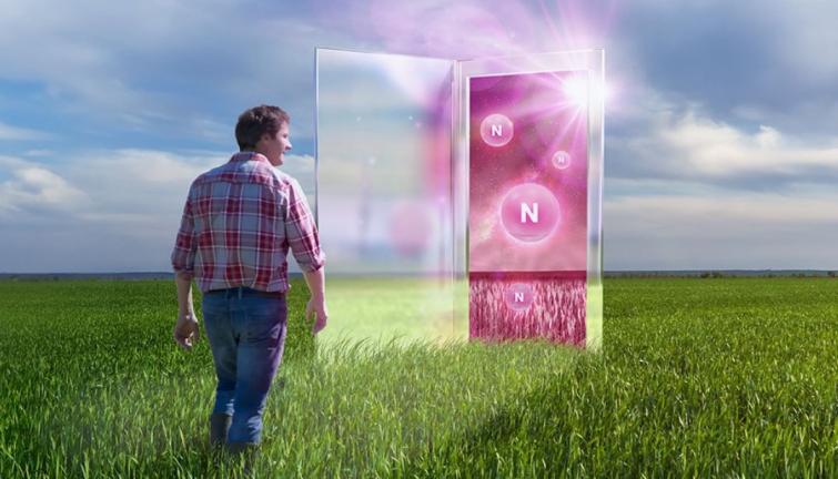 nuello_in_header.jpg