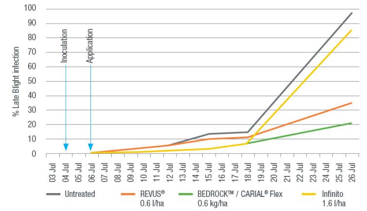Bedrock/Carial Flex graph