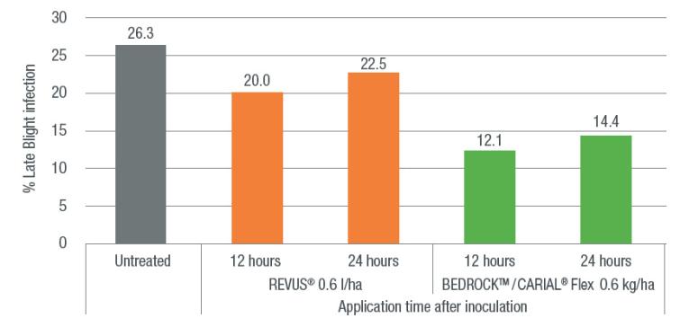CURATIVE BENEFIT OF BEDROCK/CARIAL FLEX