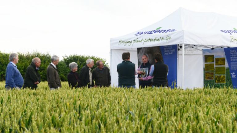 Demo days