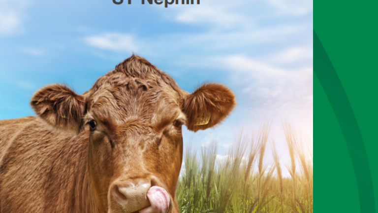 SY_NEPHIN_ADVERT