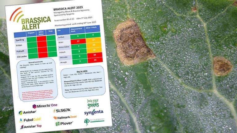 Brassica Alert report page