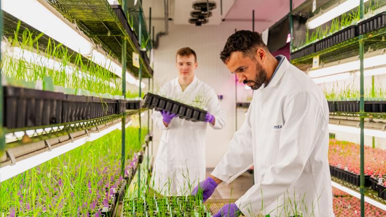 Two scientists growing plants in a storage room under grow lights.