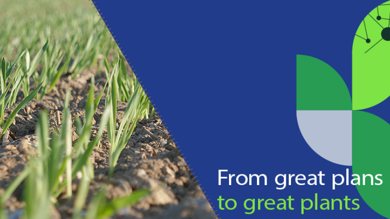 SPRING_BARLEY_BANNER