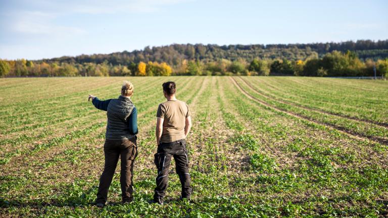 two men in a field