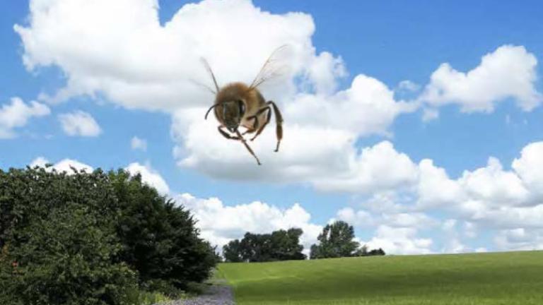 syngenta_uk_package_1.jpg