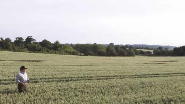 syngenta_uk_package_1.jpg