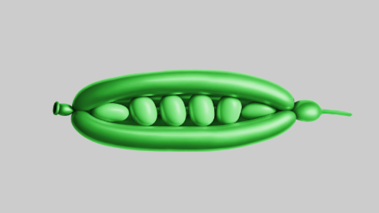 Pulses