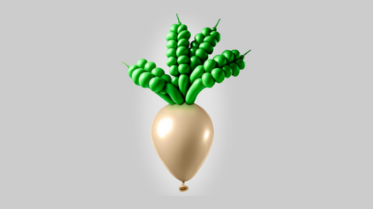 Sugar Beet