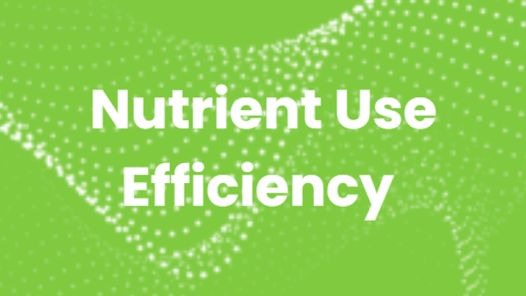 Nutrient use efficiency