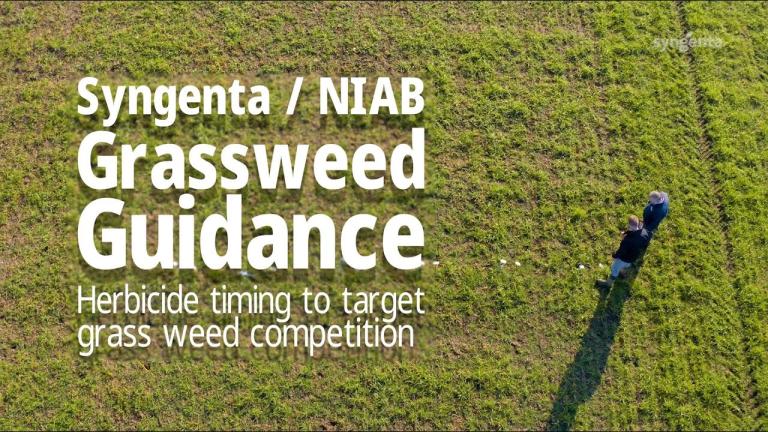 Syngenta NIAB Grassweed Guidance Feb 2023