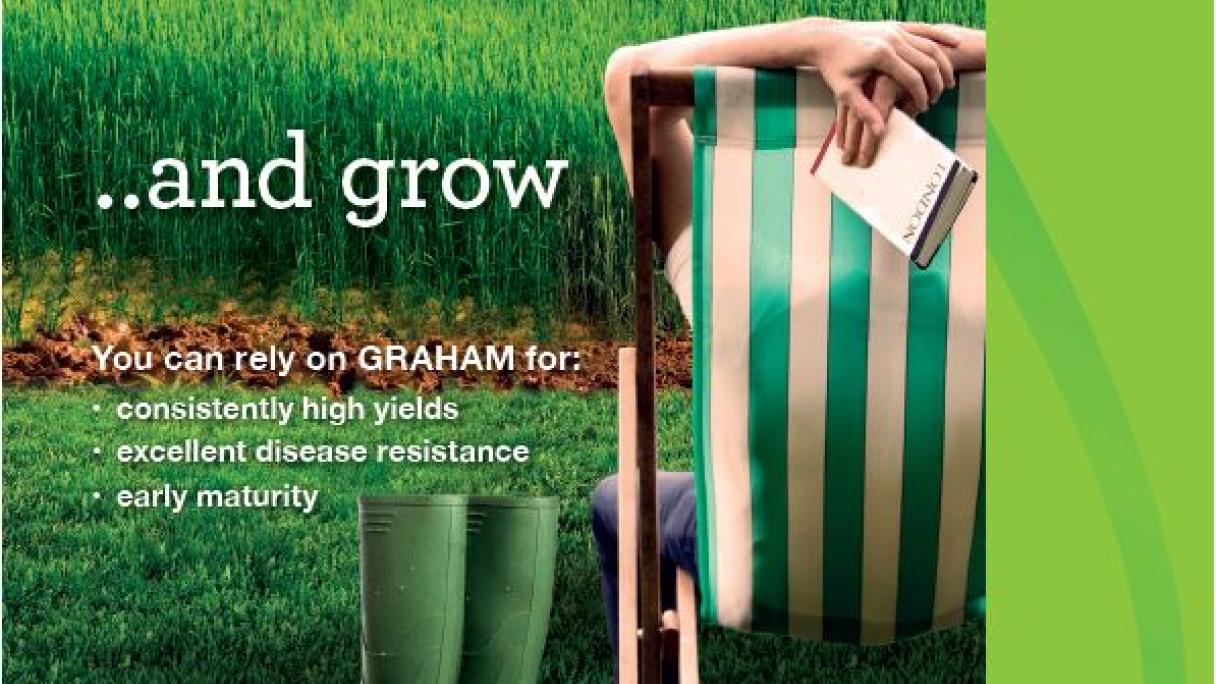 Graham Distribution GRAHAM | Syngenta
