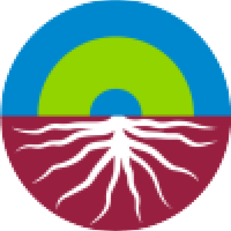vixeran_logo_transparent_icon.png
