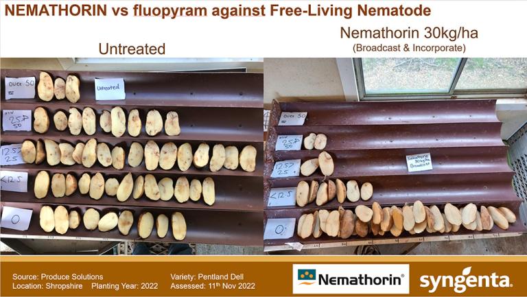 1024 x 577 Trial results slide Nemathorin vs untreated.jpg