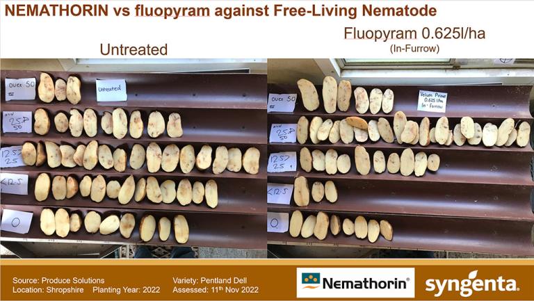 1024 x 577 Trial results slide fluopyram vs untreated.jpg