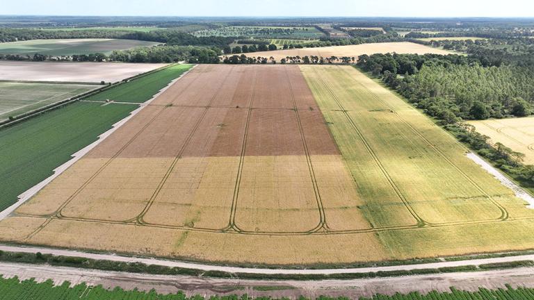 Syngenta Future of UK Farming trials site field in Suffolk