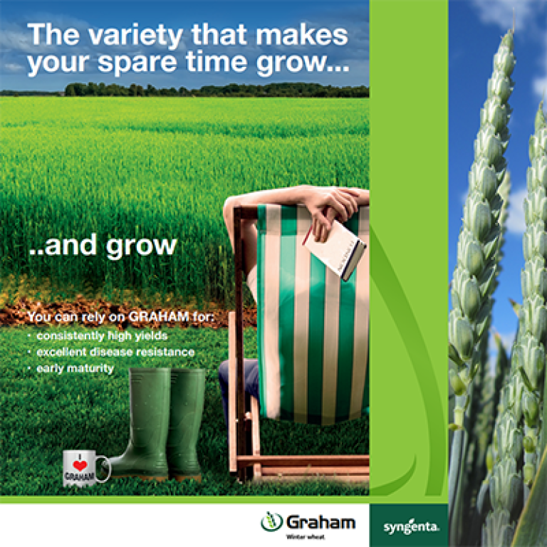 Graham_Advert