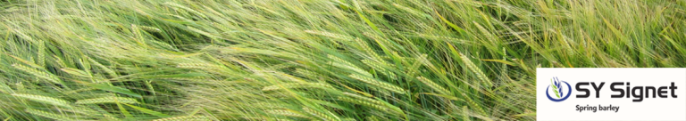 sy_signet_crop