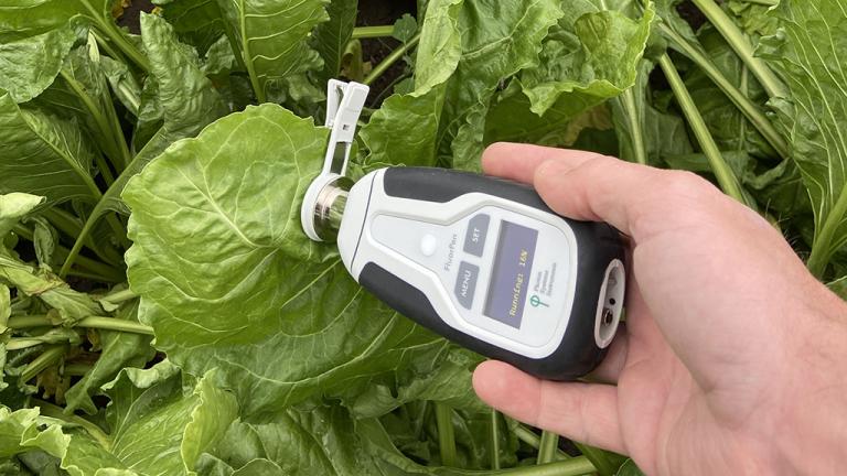 1024_x_576_flourpen_use_in_sugar_beet_trial.jpg