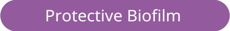 protective biofilm