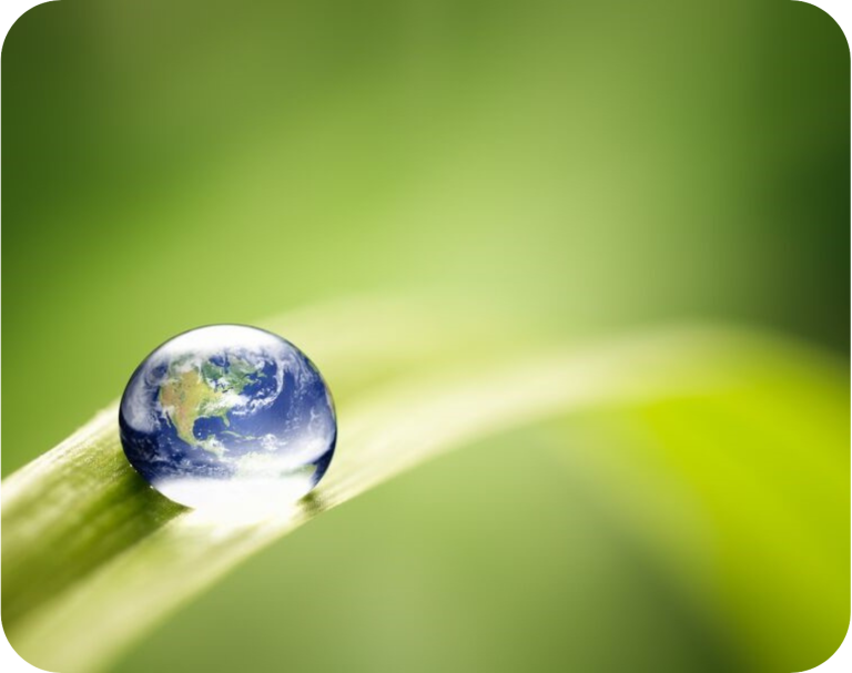 the world in a water droplet