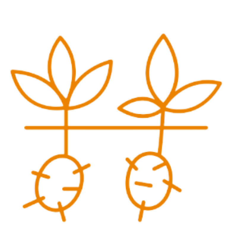 biostimulants