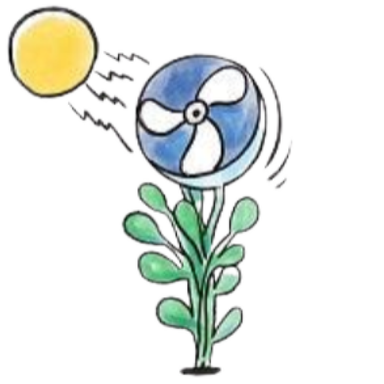 Quantis icon