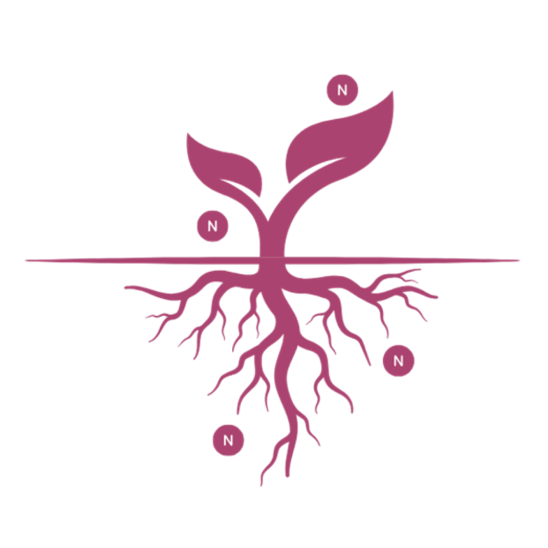 Strengthens crop resilience