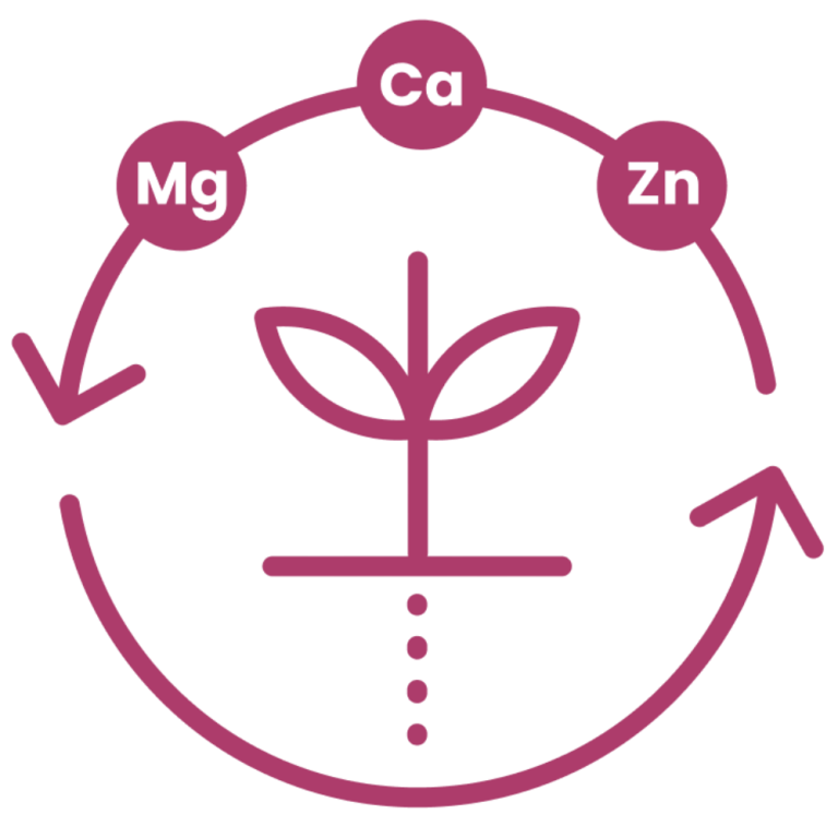 Nuello iN nutrient uptake