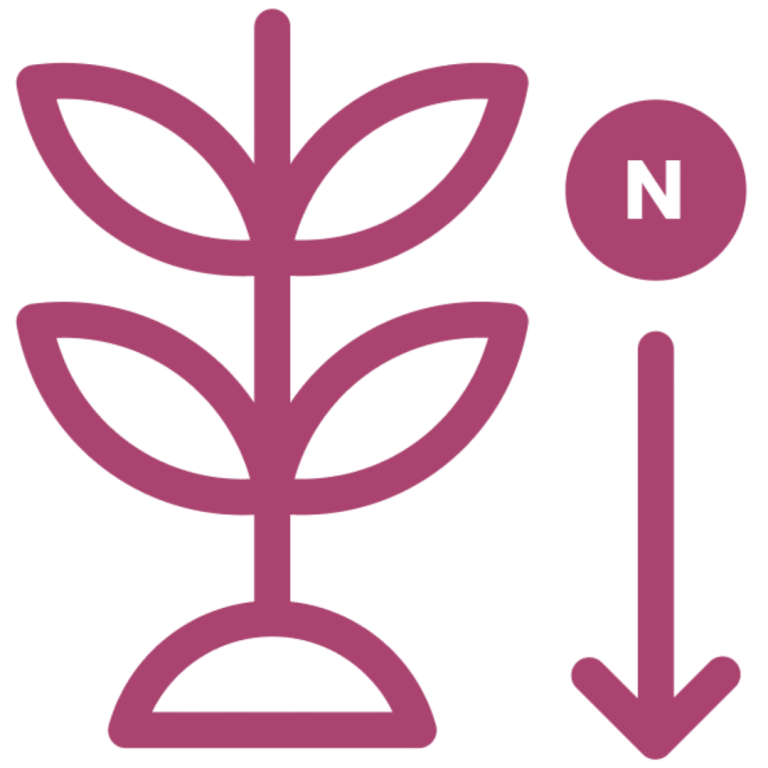 Nuello iN spring barley yield benefits