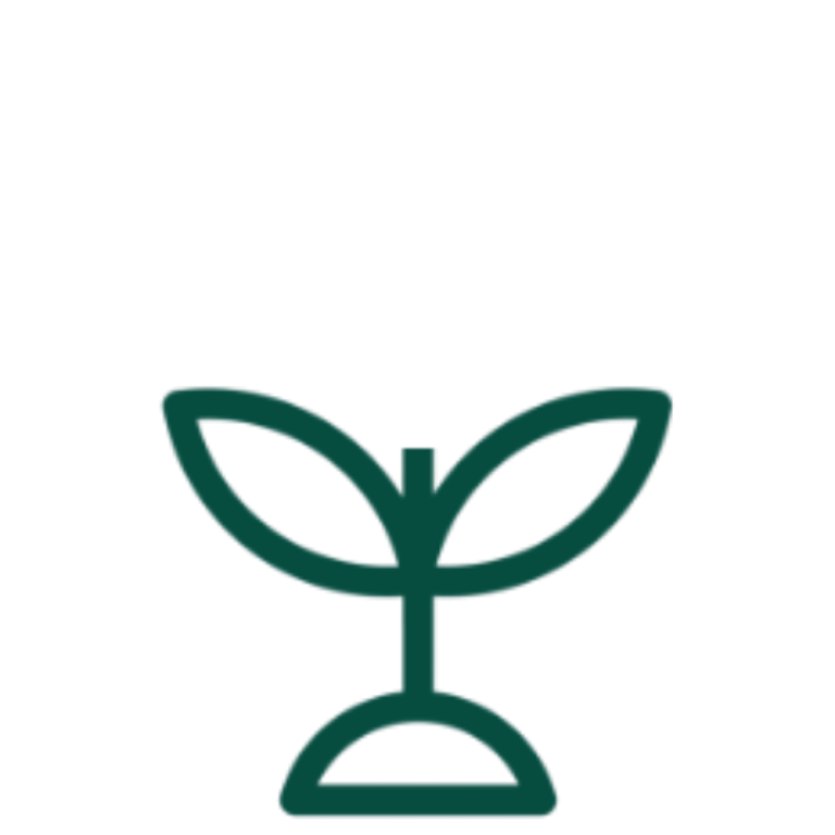 Early growth stage support
