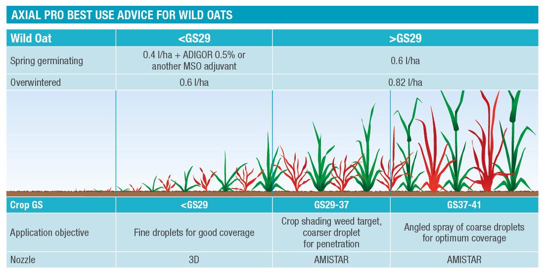 axial_pro_best_use_advice_for_wild_oats.jpg