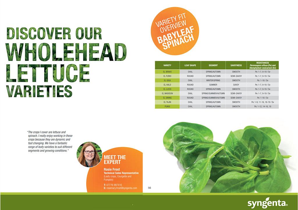 2022 lettuce catalogue page