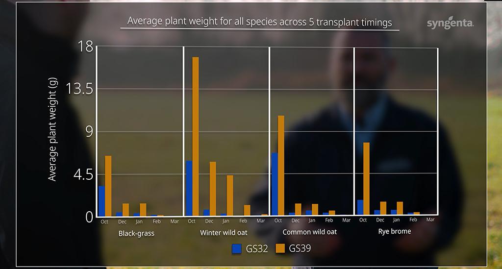 1024 x 549 Grass weed plant biomass graphic.jpg