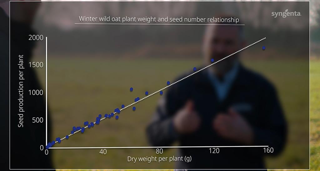1024 x 549 Wild oat seed return graphic.jpg