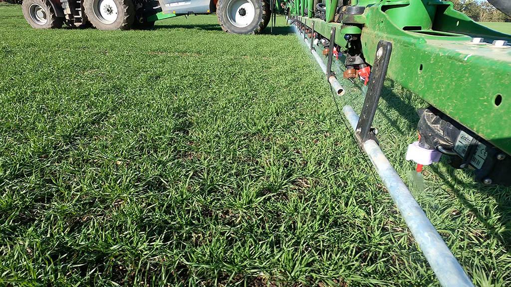 Targeting grass weeds beneath the crop canopy