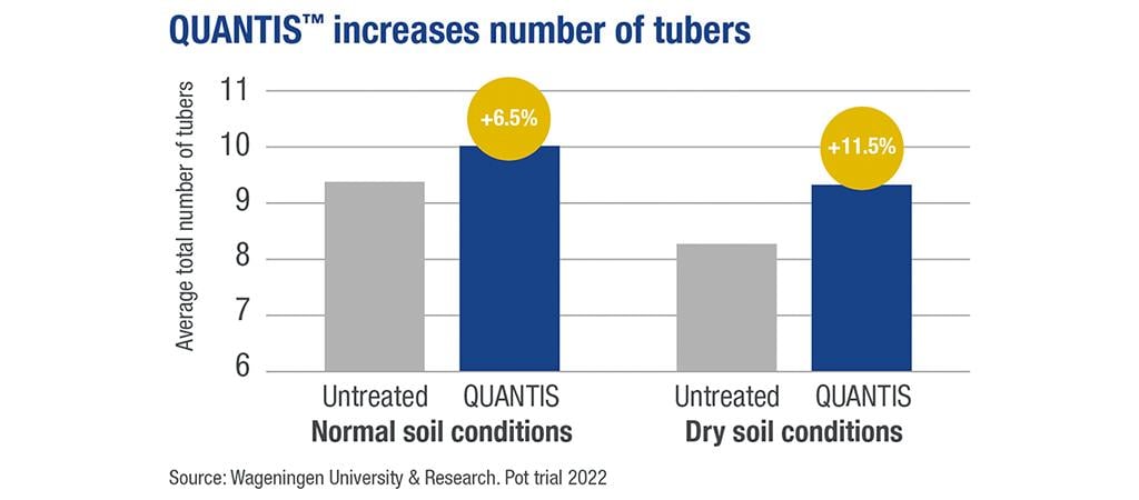 Quantis application at tuber initiation trials results