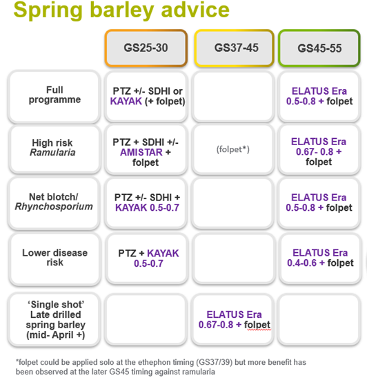 Spring_Barley_Advice
