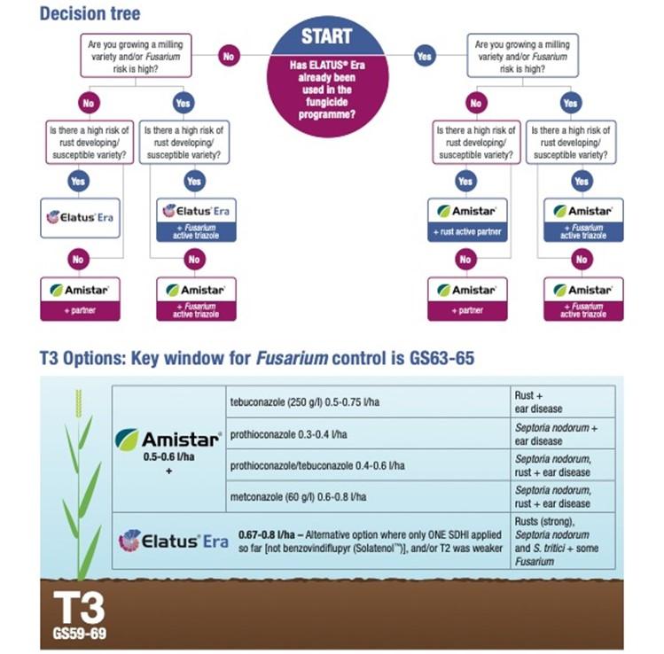 Decision tree for Elatus Era and Amistar at T3
