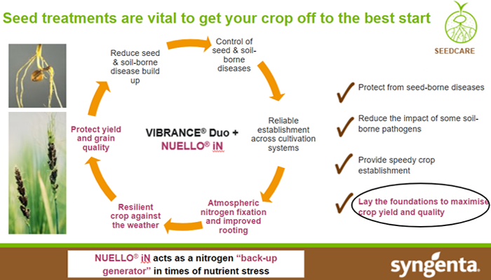 Seed Treatment Benefits