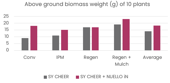 Comparing the above ground biomass weight (g) of WW variety SY CHEER across the different cultivation systems both with and without the addition of Nuello iN seed treatment.