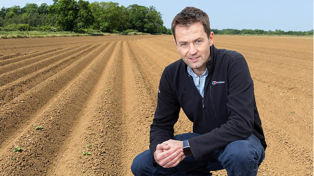 Andy Cunningham potato seedbed