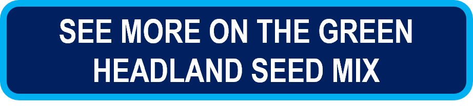 see_more_on_the_green_headland_seed_mix.png