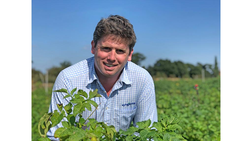 Harry Fordham in potato crop