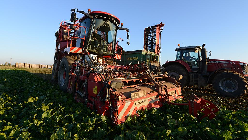 1024_x_576_-_beet_harvesting_18.jpg
